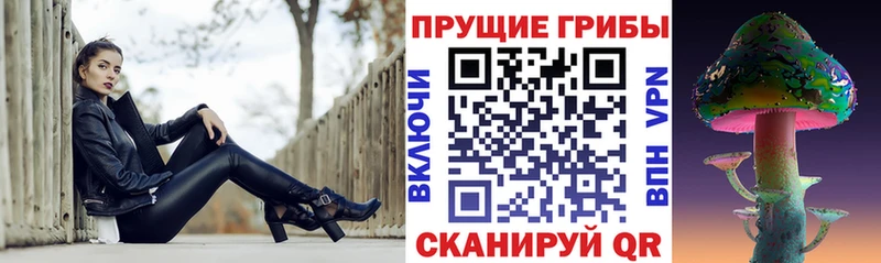 купить наркоту  Юрьев-Польский  Галлюциногенные грибы Psilocybine cubensis 
